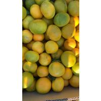 okitsu mandalina 5 kg