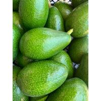 Avokado   5'li 
