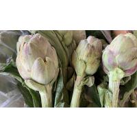 Bebek Enginar 6 adet 