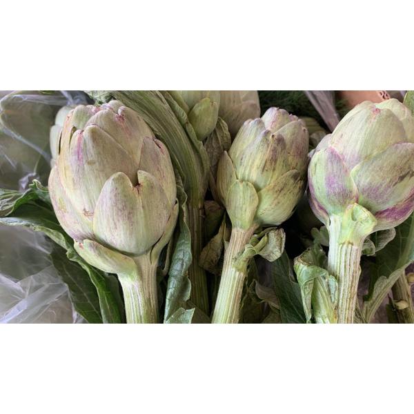 Bebek Enginar 6 adet 