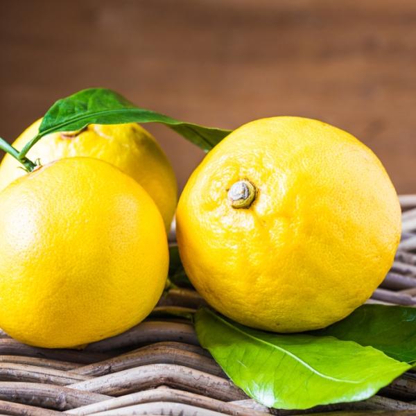 BERGAMOT 1 adet
