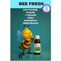 Çam Kozalağı Propolis C Vitamini Çinko Karamürver Söğüt Ekstratı Şurup 150ml - 