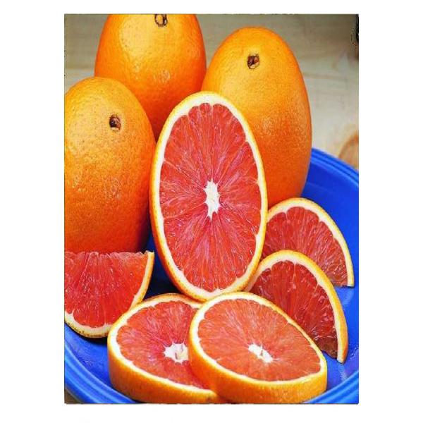 Cara Cara portakalı 1 kg