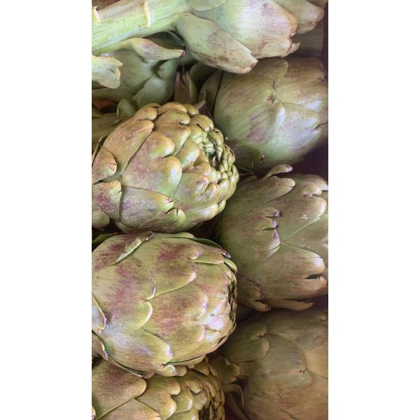 ENGİNAR 1 ADET(dolmalık)