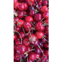 Kiraz 1 kg(Salihli cinsi)