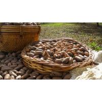 organik pikan cevizi(talat çelik) 1 kg