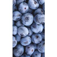 Yaban Mersini 3kg
