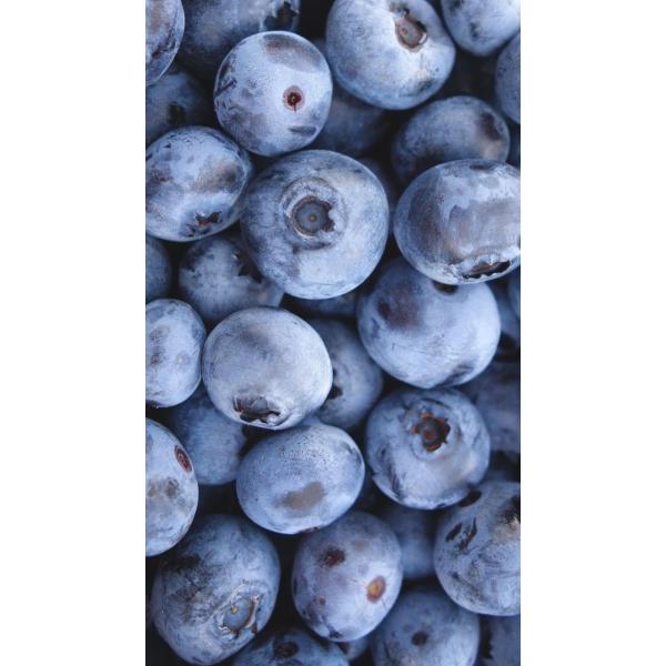 Yaban Mersini 3kg